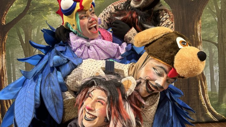 Projeto Domingo Tem Teatro programa edição temática com espetáculo infantil e espaço de convivência animal em Goiás